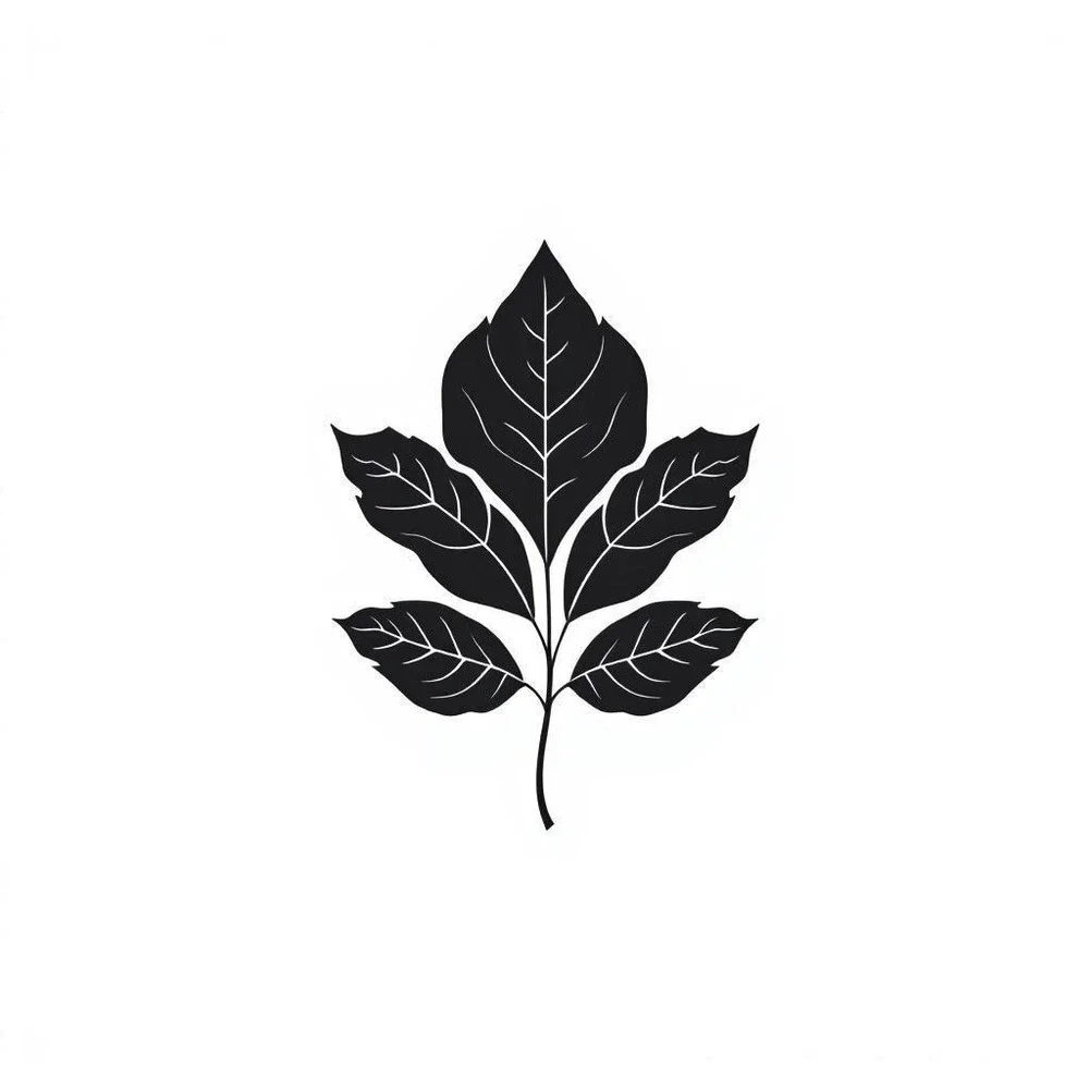 Blackberry Leaf Herbal Tea | Loose Leaf Caffeine-Free Herbal Infusion